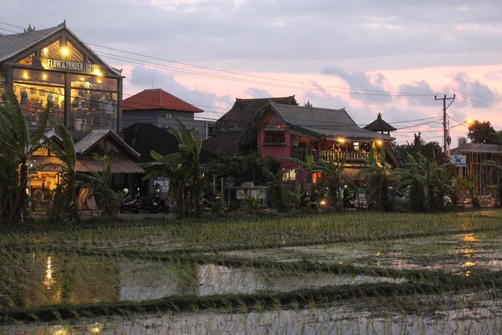 The Calmtree Bungalows Canggu Esterno foto